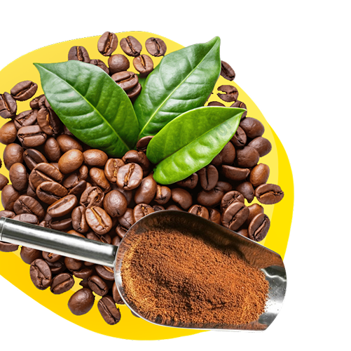 Sản phẩm Cà phê